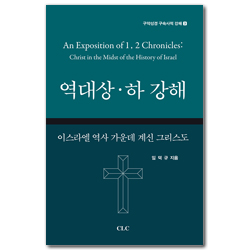역대상·하 강해: 이스라엘 역사 가운데 계신 그리스도 (구약성경 구속사적 강해 3)