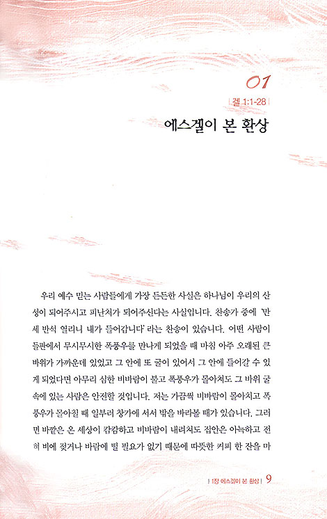열정의 비전