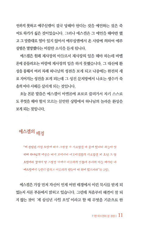 열정의 비전