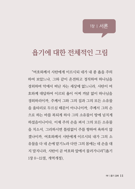 삶의 수수께끼 (욥기와 전도서 강해)