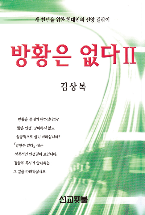 방황은 없다 2 (새 천년을 위한 현대인의 신앙 길잡이)