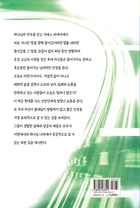 방황은 없다 2 (새 천년을 위한 현대인의 신앙 길잡이)