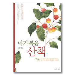 마가복음 산책