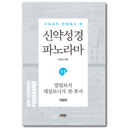 [개정판] 구속사의 관점에서 본 신약성경 파노라마 (11) 빌립보서, 데살로니가전·후서