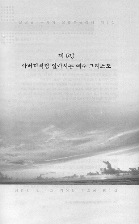 생명의 빛 그 경이와 환희에 잠기다 - 요한복음 강해2