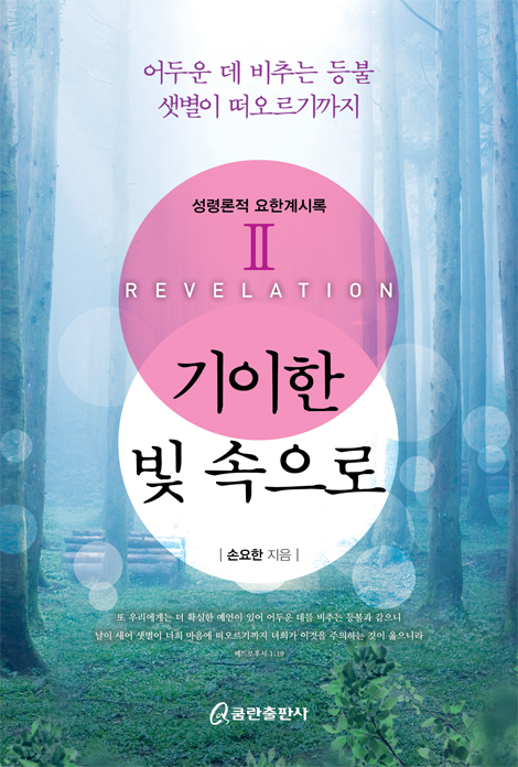 기이한 빛 속으로 2 (성경론적 요한계시록)
