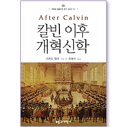 칼빈 이후 개혁 신학 (개혁파 정통주의 연구 시리즈 01)