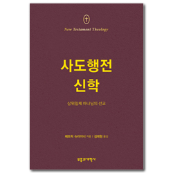 NTT 사도행전 신학 (삼위일체 하나님의 선교)