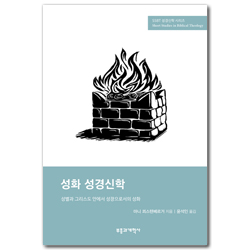 성별과 그리스도 안에서 성장으로서의 성화 (SSBT 성경신학 시리즈)