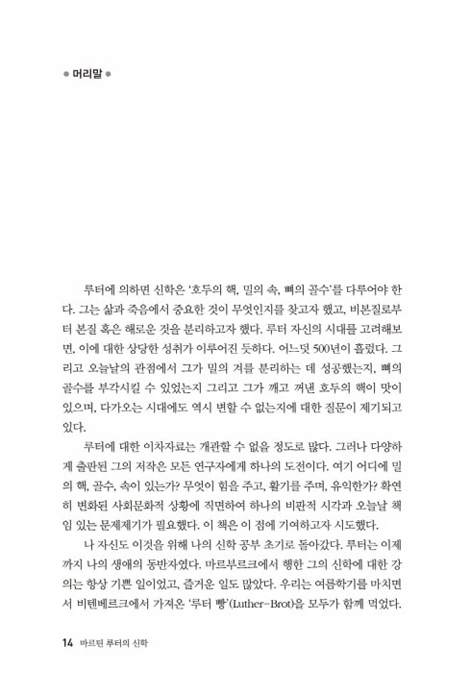 마르틴 루터의 신학 (비판적 평가)