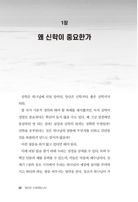 당신은 신학자입니다 (하나님을 더욱 잘 알고 사랑하도록 돕는 평신도를 위한 알기 쉬운 조직신학 입문)