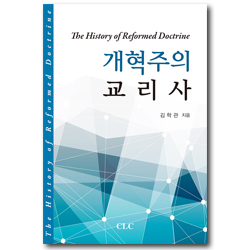 개혁주의 교리사