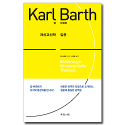 개신교신학 입문