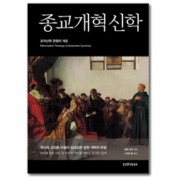 종교개혁 신학 (조직신학 관점의 개요)