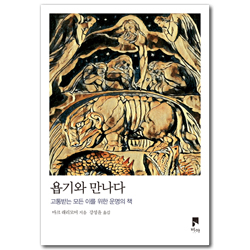 욥기와 만나다 (고통받는 모든 이를 위한 운명의 책)