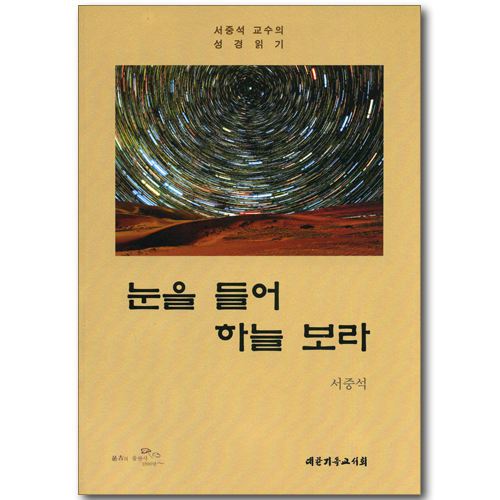눈을 들어 하늘 보라 - 서중석 교수의 성경읽기