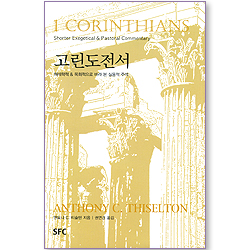 고린도전서: 해석학적&목회적으로 바라 본 실용적 주석