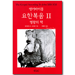 앵커바이블 요한복음 2 - 영광의 책
