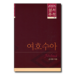 대한기독교서회 창립 100주년 기념 성서주석 06 (여호수아)