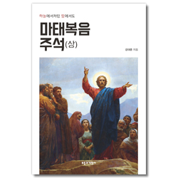 마태복음 주석 (상)