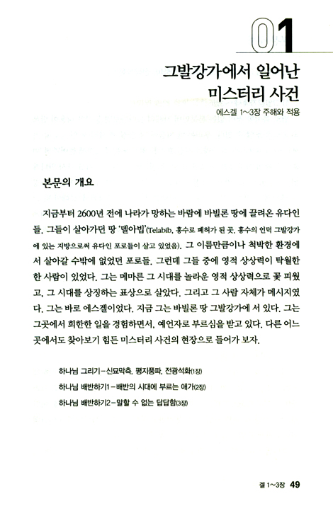 두란노 HOW 주석 27 - 에스겔 어떻게 설교할 것인가