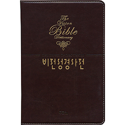 비전성경사전 (개역개정판/색인/최고급소재/진갈색)