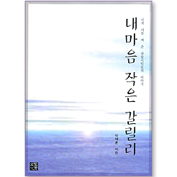 내 마음 작은 갈릴리 - 내게 시를 써 준 찬송시인들의 이야기