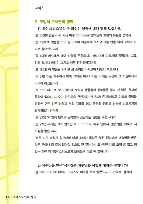 그리스도인의 성숙 (제10권 - 제자훈련 V)