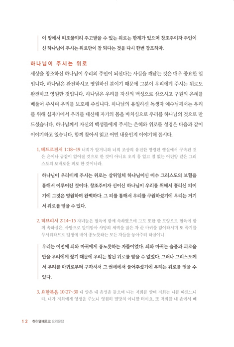 하이델베르크 요리문답 - 삶은 바꾸는 요리문답 성경공부 시리즈 (해설서)