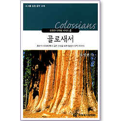 골로새서 - 혼돈의 시대에 뿌리 깊은 신앙을 위한 말씀의 원칙 지키기 (오정현 다락방 시리즈 04)
