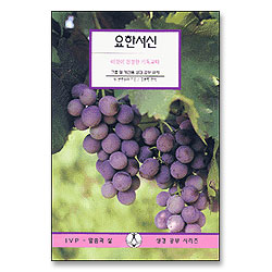 요한서신 - IVP 말씀과삶 성경공부시리즈