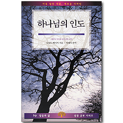 결정 : 하나님의 인도 - Ivp 말씀과 삶 셩경공부 시리즈
