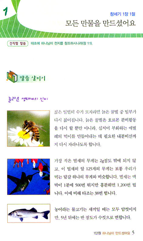 예수님 따라 (한걸음/청소년부 학습자)