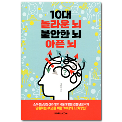 10대 놀라운 뇌 불안한 뇌 아픈 뇌