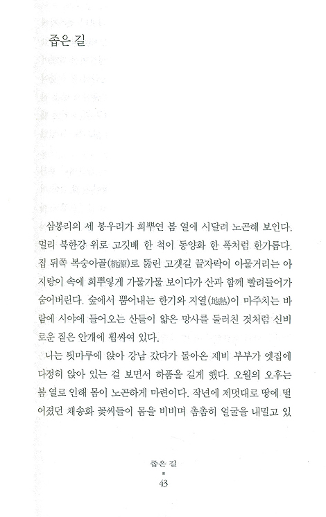 꿈꾸는 여자 - 이건숙 소설집