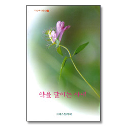 약을 달이는 아내 (기일혜 수필집 13)