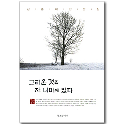 그리운 것은 저 너머에 있다 - 신송자 산문집