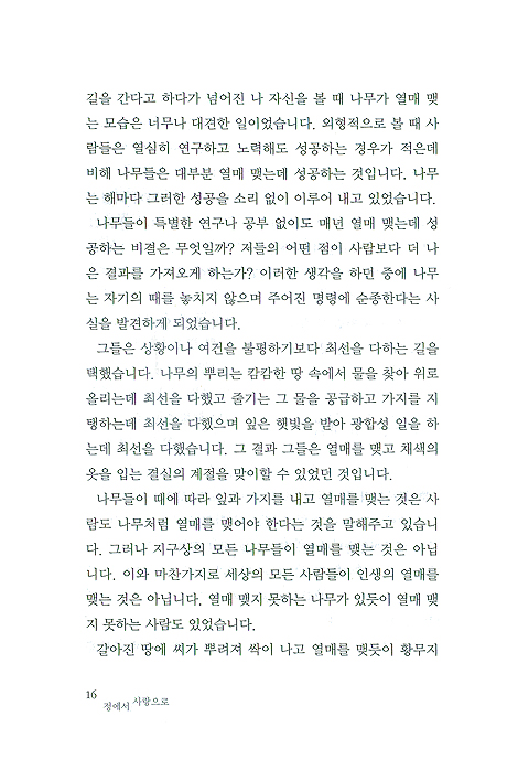 정에서 사랑으로