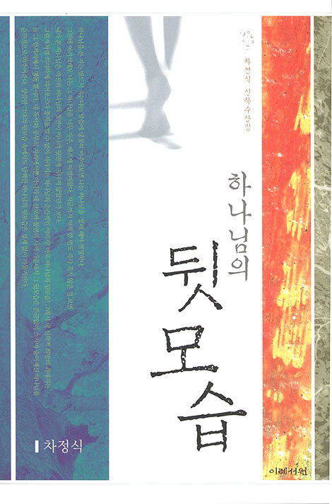 하나님의 뒷모습 - 차정식 신학수상집