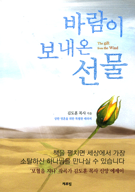바람이 보내온 선물