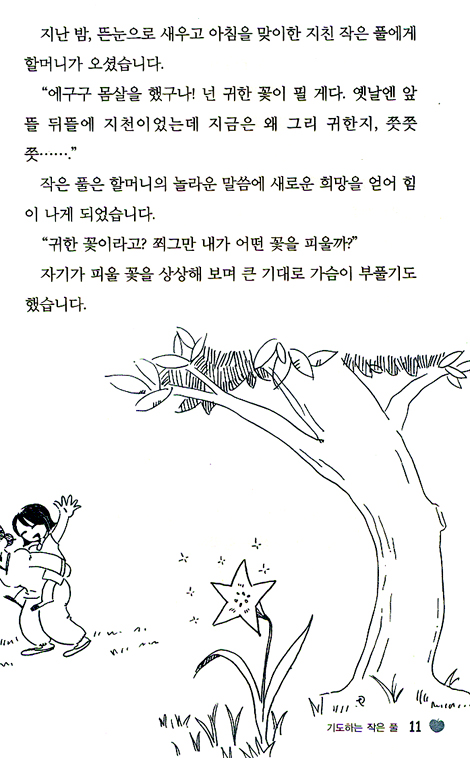 기도하는 작은 풀
