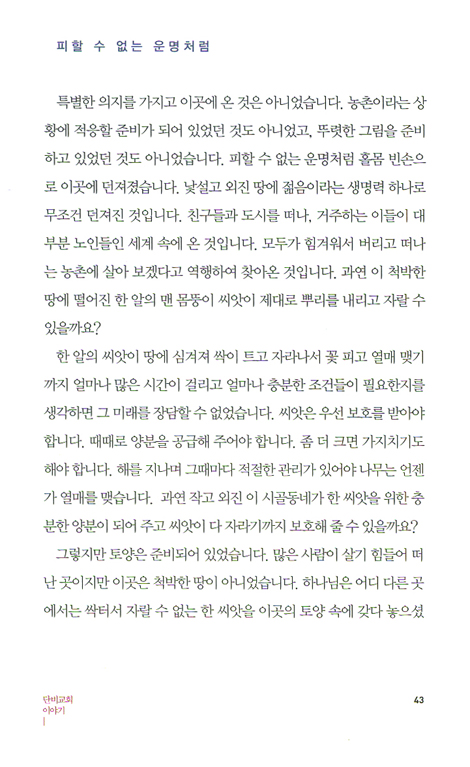단비교회 이야기