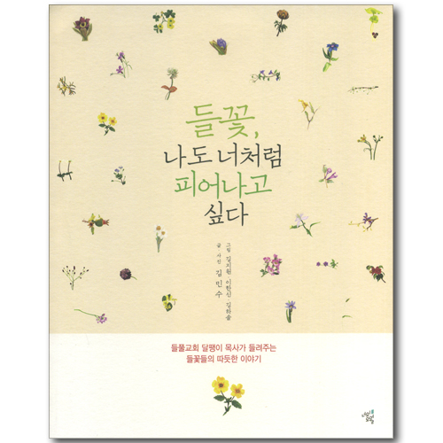 들꽃, 나도 너처럼 피어나고 싶다 (사진 에세이)