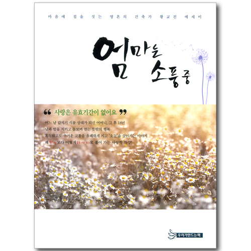 엄마는 소풍중 - 마음에 집을 짓는 영혼의 건축가 황교진 에세이