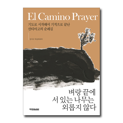 벼랑 끝에 서 있는 나무는 외롭지 않다 (기도로 시작해서 기적으로 끝난 산티아고 순례길)