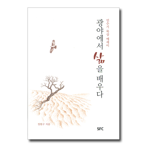 광야에서 삶을 배우다 - 민수기 묵상 에세이