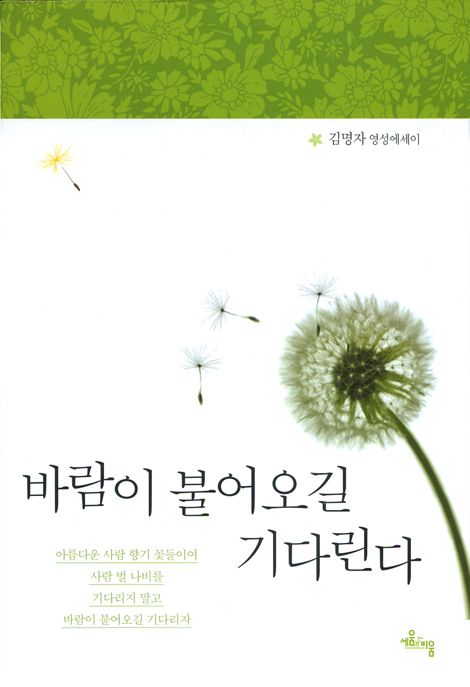 바람이 불어오길 기다린다 - 김명자 영성에세이