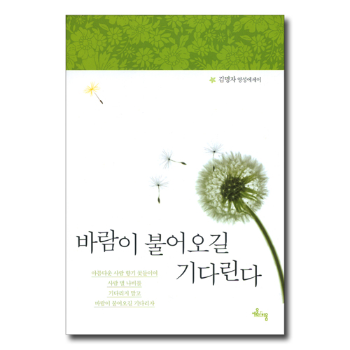 바람이 불어오길 기다린다 - 김명자 영성에세이