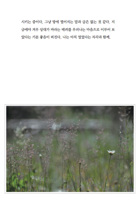 예기치 못한 기쁨에 바람처럼 설레어 (바람이 전하는 사진가의 글)