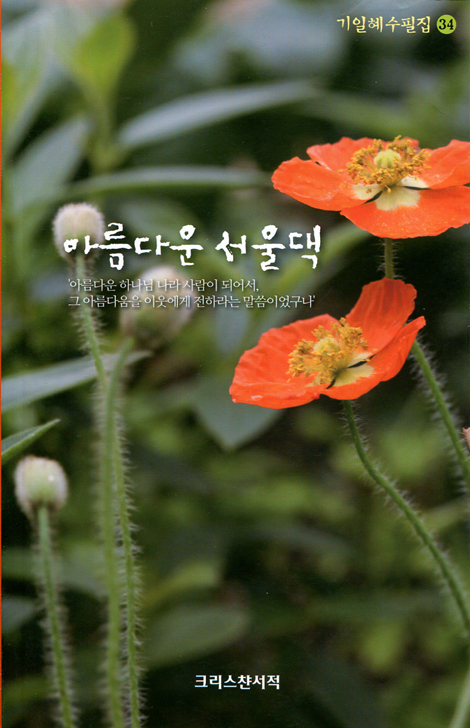 아름다운 서울댁 (기일혜수필집 34)